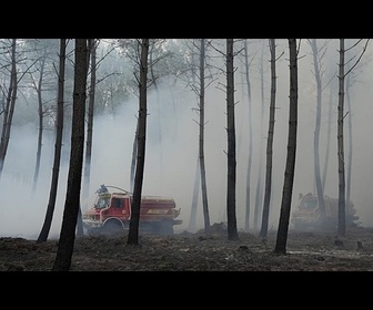 Replay Incendie dans les Landes : le feu est fixé, de premiers retours à domicile organisés