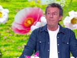 Replay Les 12 coups de midi du 9 mai 2026