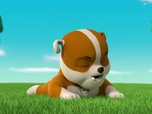 Replay Paw Patrol, la Pat'Patrouille - A la recherche du sac perdu