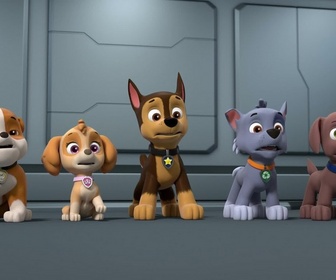 Replay Paw Patrol, la Pat'Patrouille - Mission camion : Le concert de Luke Star