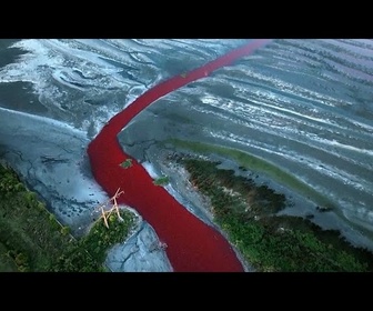 Replay Une rivière rouge vif près de Buenos Aires suscite des craintes de pollution