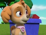 Replay Paw Patrol, la Pat'Patrouille - Alex et les autruches