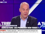 Replay BFM Story Week-end - Colère agricole : Notre ambition, c'est d'attirer l'attention des pouvoirs publics sur la situation de l'agriculture, Arnaud Rousseau - 17/11