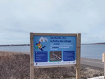 Replay C pas si loin - Village de Miquelon déplacé