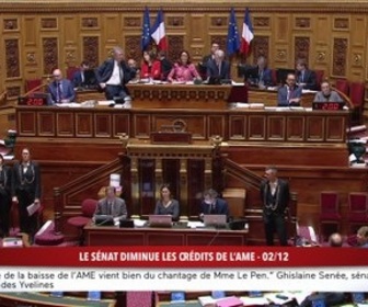 Replay 100% Sénat - Le Sénat diminue les crédits de l'AME