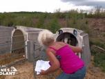 Replay Les reines du volant - Episode 6 - Partie 2