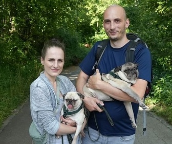 Replay Ces chiens victimes de la mode - ARTE Regards