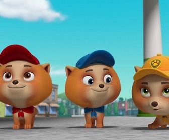 Replay Compilation Paw Patrol, la Pat'Patrouille 36