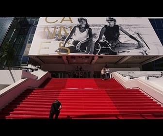 Replay Festival de Cannes : les chiens policiers font leur montée des marches