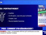 Replay Qu'est-ce qui fonctionne vraiment pour se débarrasser des poux? BFMTV répond à vos questions