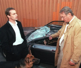 Replay Rex, chien flic - 03/08/2026