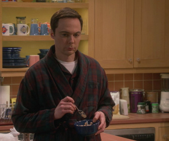 Replay The Big Bang Theory - S12E15 - Semence-abstinence