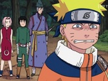 Replay Naruto - S01 E212 - Chacun son chemin !