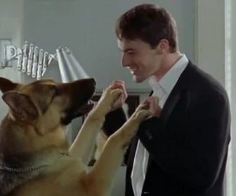 Replay Rex, chien flic - Appels anonymes