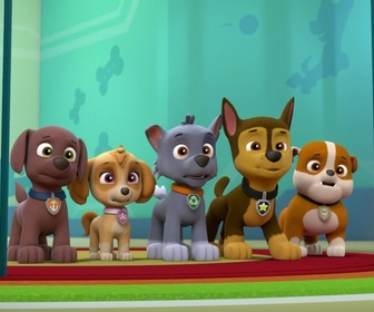 Replay Paw Patrol, la Pat'Patrouille - Un petit déjeuner mouvementé