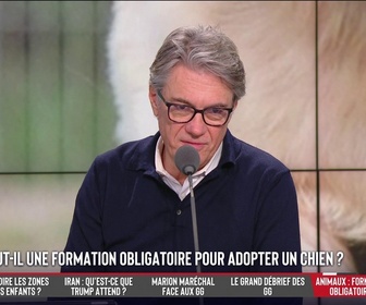 Replay Les Grandes Gueules - Faut-il une formation obligatoire pour adopter un chien ?