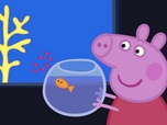 Replay Peppa Pig - S4 E31 - Le grand aquarium