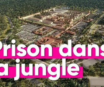 Replay Top Info - Une prison en pleine jungle: pourquoi le projet de Darmanin fait polémique ?