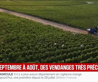 Replay BFM Première - Des vendanges extrêmement précoces dans l'Aube