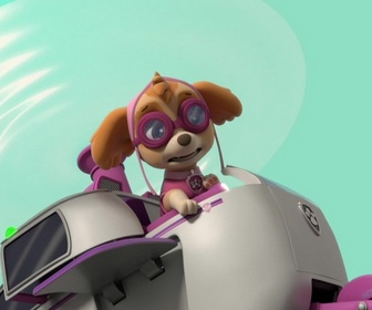 Replay Paw Patrol, la Pat'Patrouille - La plus grosse omelette du monde