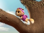 Replay Paw Patrol, la Pat'Patrouille - Le concours du meilleur chili