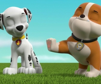 Replay Paw Patrol, la Pat'Patrouille - Katie rejoint la Pat'Patrouille