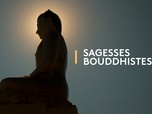 Replay Sagesses bouddhistes - Les quatre conceptions erronées