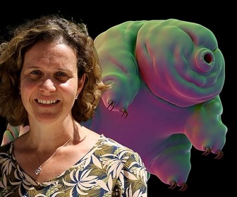 Replay 28 minutes - Tardigrades : la révolution de demain