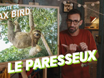 Replay La minute de Max Bird - Le Paresseux