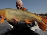 Replay River monsters - S2E5 - Le tueur du Congo