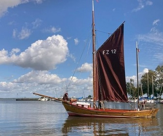Replay Une lagune à l'écosystème foisonnant - L'estuaire du fleuve Oder
