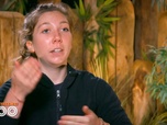 Replay Une saison au zoo - S13 E36