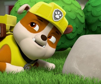 Replay Paw Patrol, la Pat'Patrouille - Le puits à souhaits