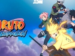Replay Naruto Shippuden - S1 E1 - Retour au pays