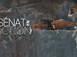 Replay Sénat en action - Minerais stratégiques : l'eldorado français