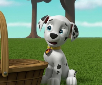 Replay Paw Patrol, la Pat'Patrouille - La plus grosse omelette du monde