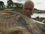 Replay River monsters - S3E2 - Poisson-scie