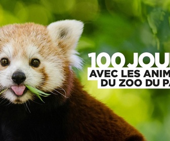 Replay 100 jours au zoo du Pal