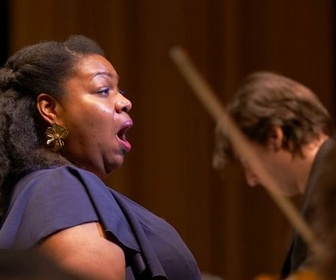 Replay ARTE Journal - Les Folles journées de Nantes, grand-messe de la musique classique