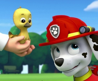 Replay Paw Patrol, la Pat'Patrouille - L'oison