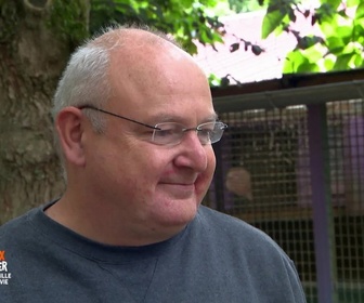 Replay Animaux à adopter - Teck