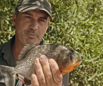 Replay Pêche XXL : derniers géants - S3E5 - Colosse amazonien