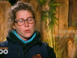 Replay Une saison au zoo - S13 E15