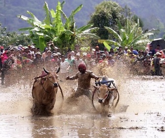 Replay Les routes de l'impossible - Sumatra, maudits trésors