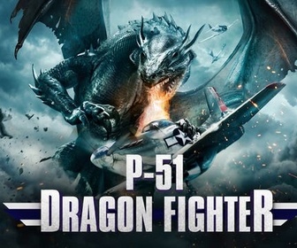 Replay P-51 Dragon fighter