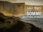 Replay Sale temps pour la planète - 31/08/2026