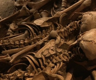 Replay ARTE Journal - Existe-t-il une culture de la guerre ?