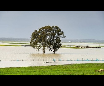 Replay Inondations et glissements de terrain perturbent le quotidien dans le nord du Maroc