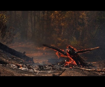 Replay Des milliers de personnes évacuées alors qu'un incendie se propage dans le sud-ouest de la France