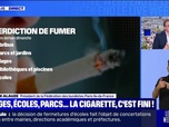 Replay Parlons info ! - Plages, écoles, parcs... la cigarette, c'est fini ! - 29/06